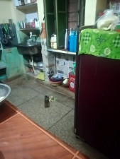 Watch Payel-sharma recorded live streams from Stripchat on 2024/04/23, Cam Archive