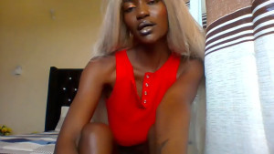 barbie_viv
