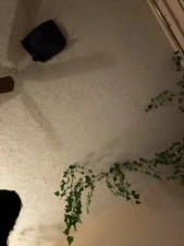 Watch magicalc00ch recorded live streams from Stripchat on 2025/03/22, Cam Archive