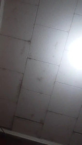 Tuosita20